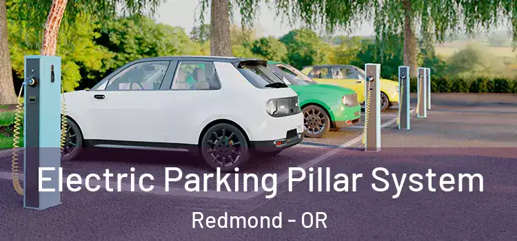 Electric Parking Pillar System Redmond - OR